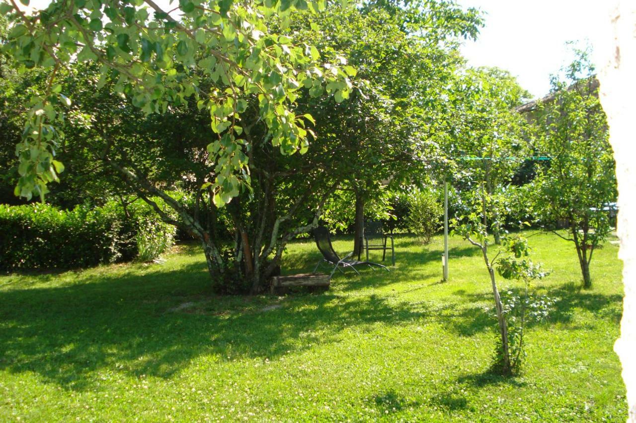 Apartmani Aldo Roč المظهر الخارجي الصورة